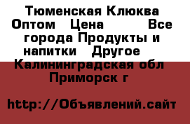 Тюменская Клюква Оптом › Цена ­ 200 - Все города Продукты и напитки » Другое   . Калининградская обл.,Приморск г.